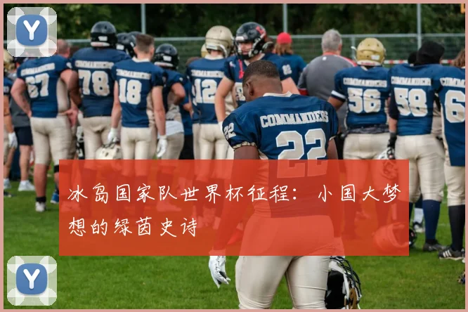 冰岛国家队世界杯征程：小国大梦想的绿茵史诗