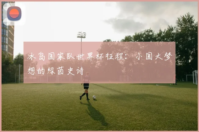 冰岛国家队世界杯征程：小国大梦想的绿茵史诗