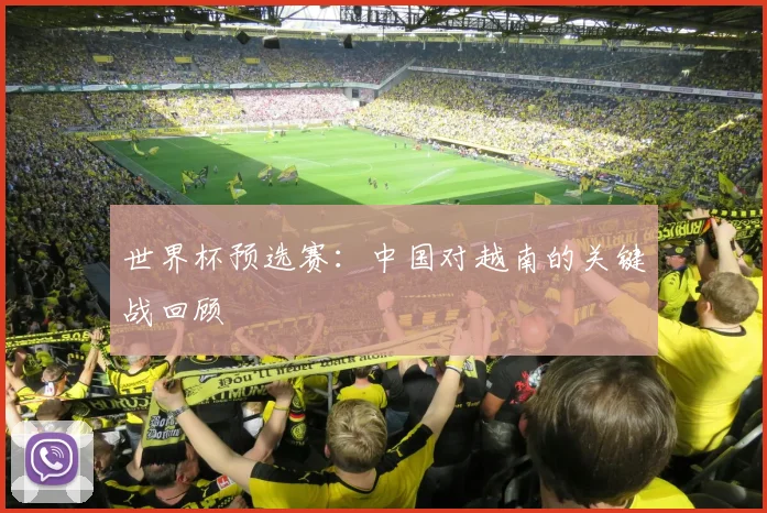 世界杯预选赛：中国对越南的关键战回顾