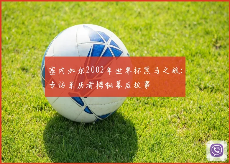塞内加尔2002年世界杯黑马之旅：专访亲历者揭秘幕后故事