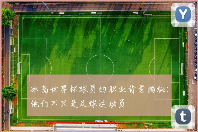 冰岛世界杯球员的职业背景揭秘：他们不只是足球运动员