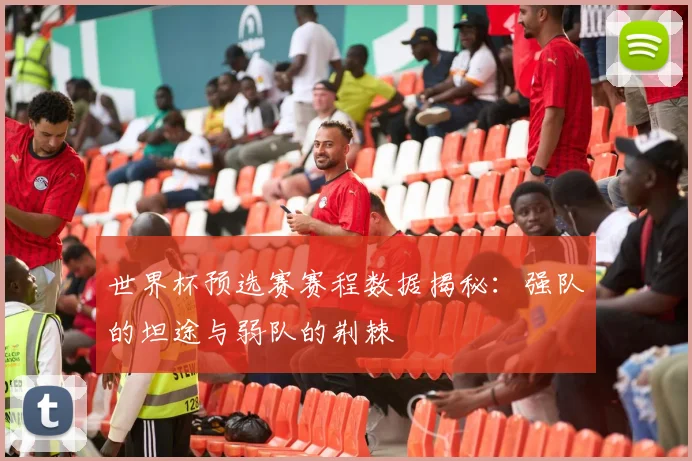 世界杯预选赛赛程数据揭秘：强队的坦途与弱队的荆棘