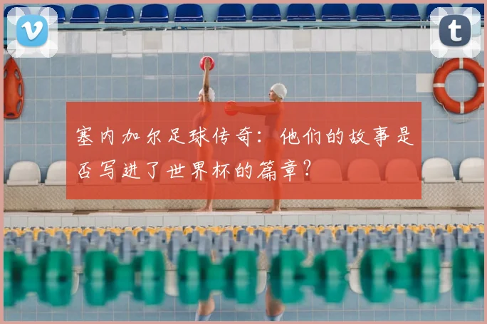 塞内加尔足球传奇：他们的故事是否写进了世界杯的篇章？