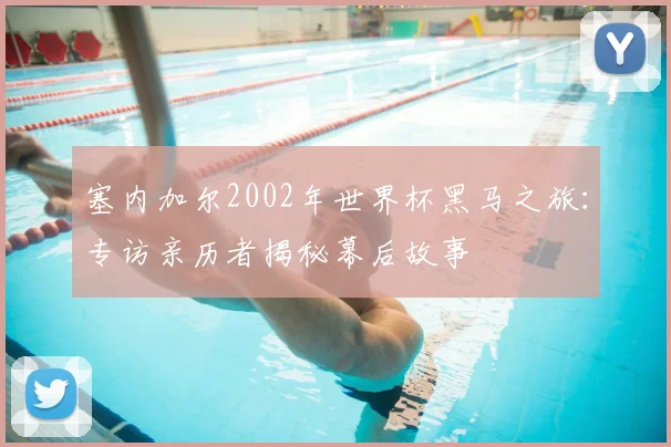 塞内加尔2002年世界杯黑马之旅：专访亲历者揭秘幕后故事