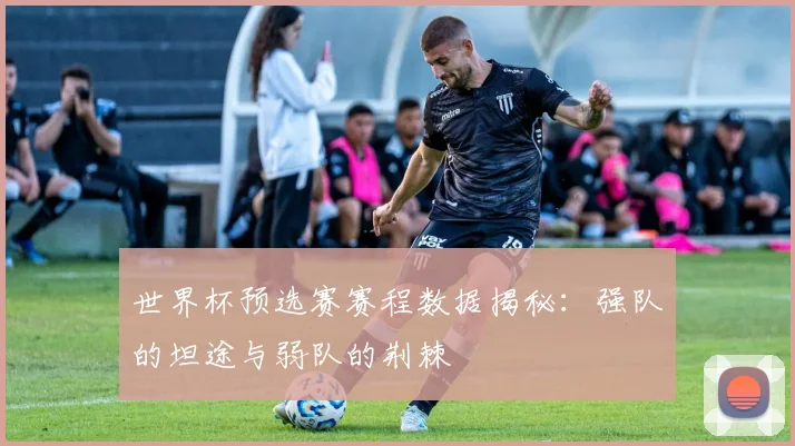 世界杯预选赛赛程数据揭秘：强队的坦途与弱队的荆棘